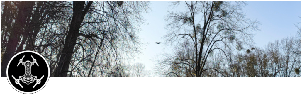 Zufallsbild